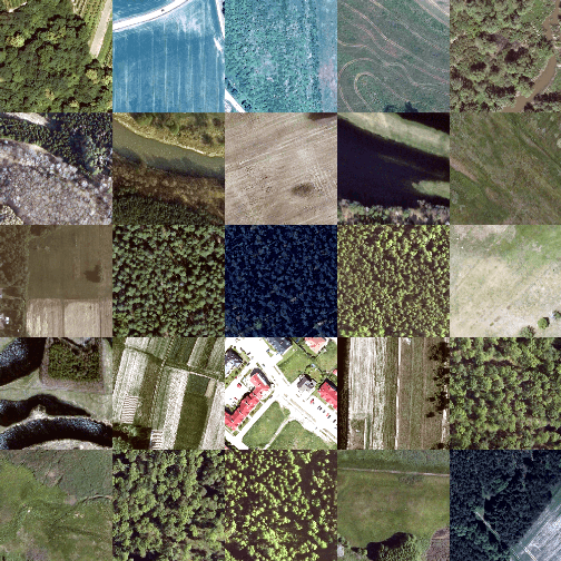 Example image chips